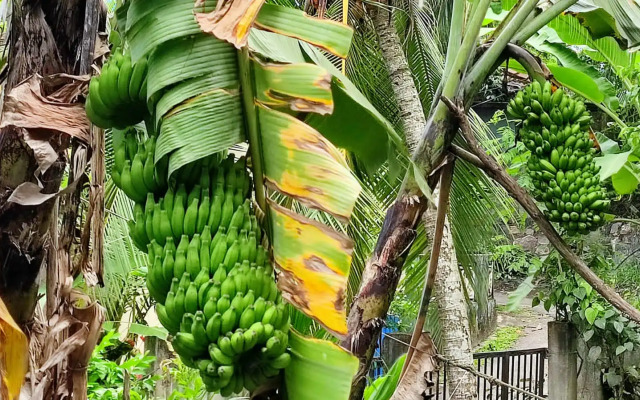 Villa 51 - First Floor Villa