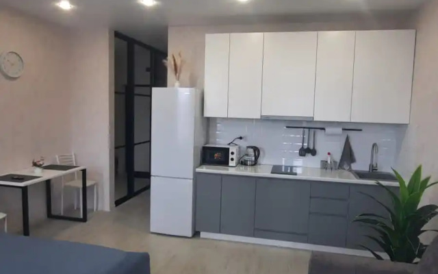 Квартира Видовая студия