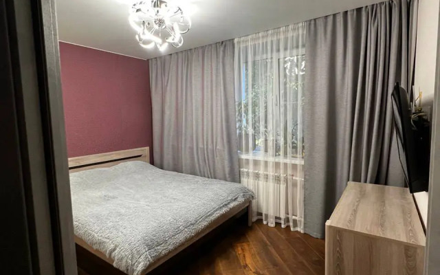 V Tsentre Goroda Flat