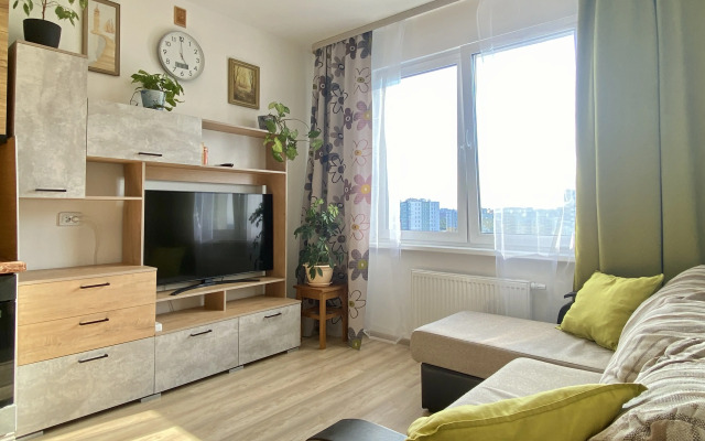 Inroomspb Na Yevgeniya Shvartsa 11 Flat