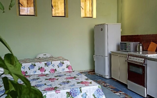 Shelkovitsa Guest House