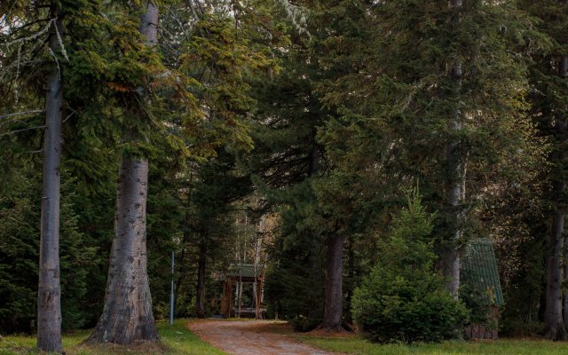 База отдыха Озерки