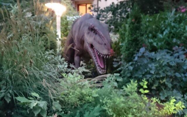 Апартаменты в Harmony Suites