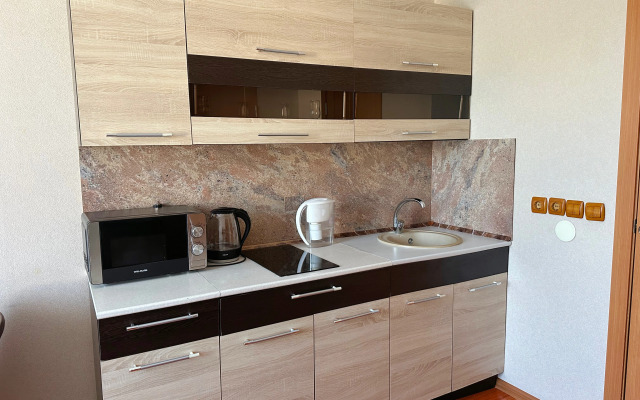 Квартира 1-комнатная Ленина 97-1