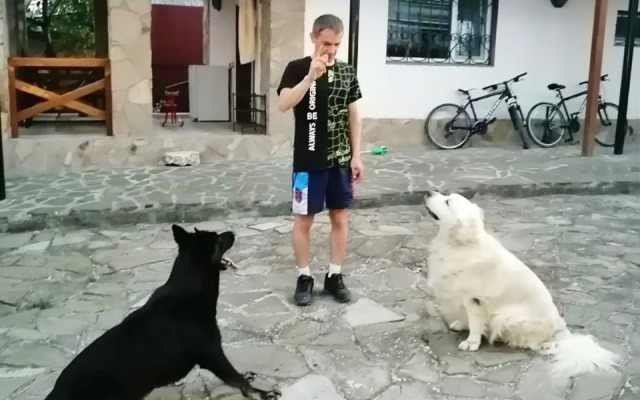 Гостевой дом Crimean Palais