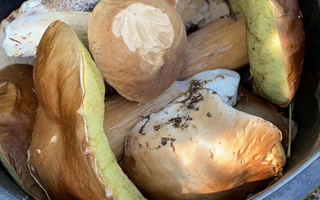 Гостевой дом Дом в Карелии