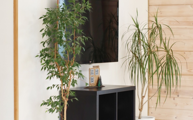 Vuorio Scandi Guest house
