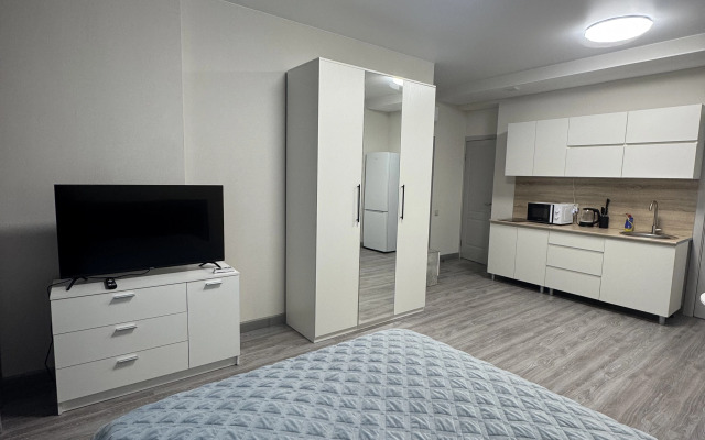 Апартаменты уютные с новым ремонтом