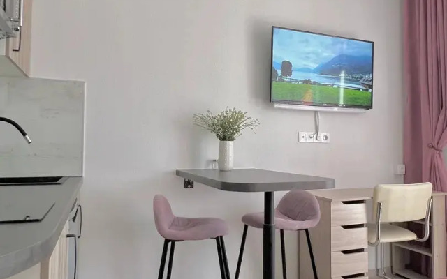 Flat Ctilnaya Studiya Na Doke