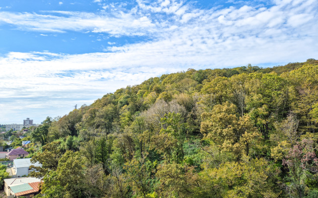 S Vysokimi Potolkami Apartments