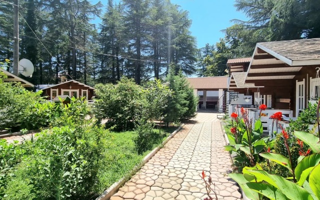 Eco House Pitiunt Resort Hotel