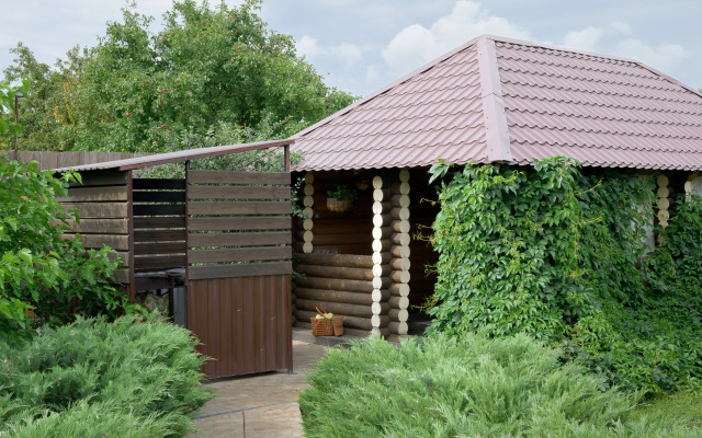 Частный дом Гуси Лебеди