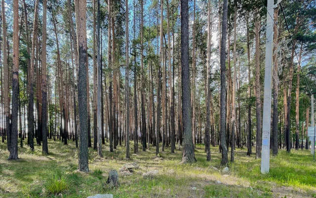 Частный дом VIP с собственным лесом