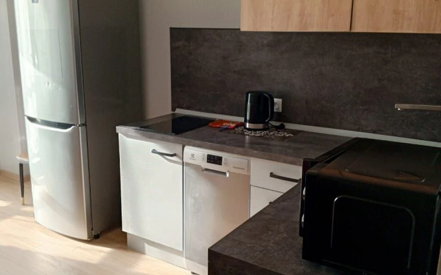 Квартира Счастливая Матрешка для Четверых у Макси на Ленинградском