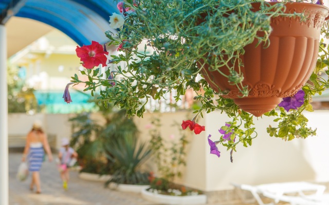 Ekodom Family Hotel