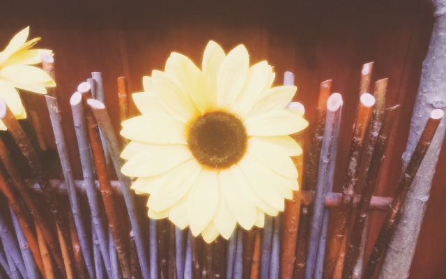 Мини-Отель Лукошко