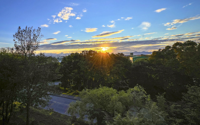 Квартира Уютная солнечная