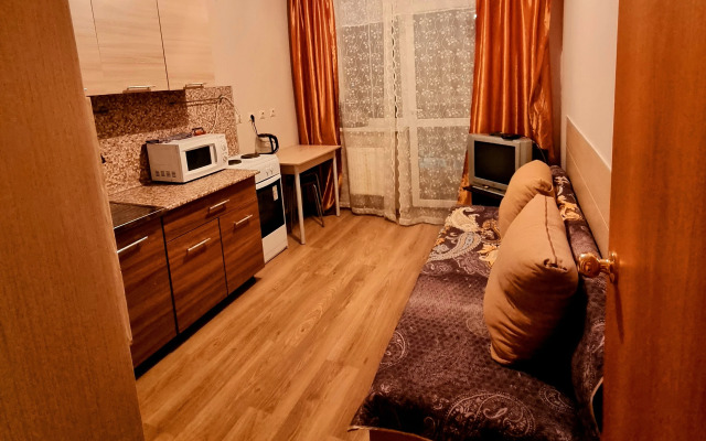 Koltsovo Utrenniy Apartments