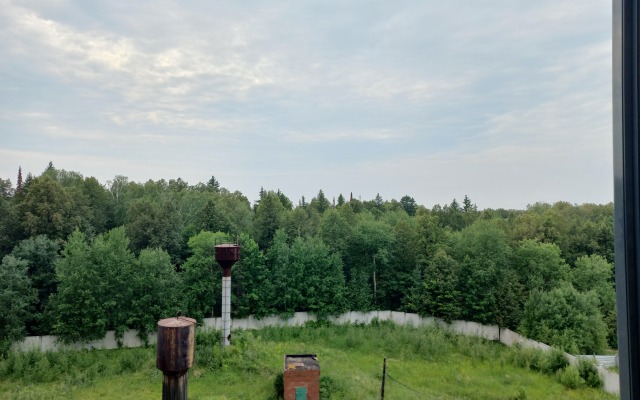 Квартира с Видом на Лес