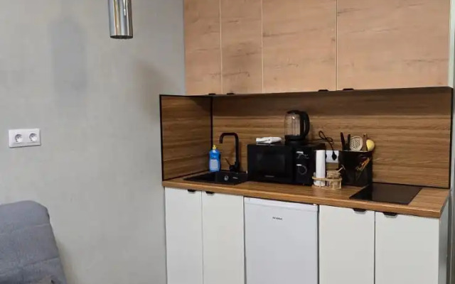 Квартира Уютная Студия у метро Спартак