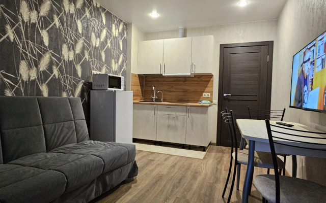 Uluchshennaya Studiya U Metro Parnas Flat