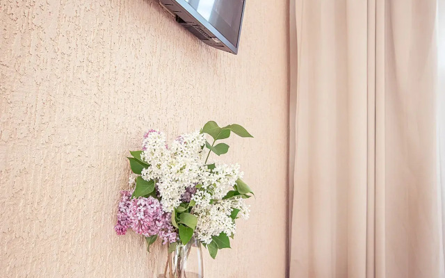 Апартаменты Floris Студия 1 на Невском