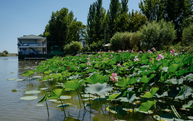 База отдыха Золотой Лотос