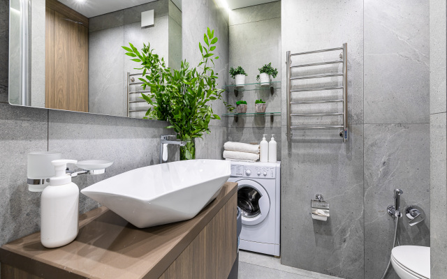 Апартаменты LS Savin House