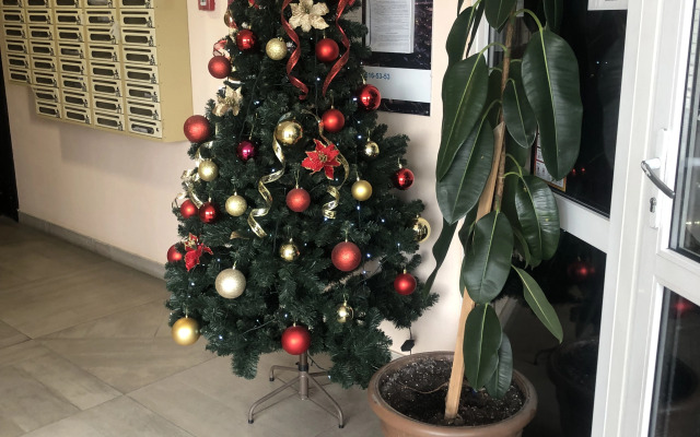 Квартира Комфортабельная студия для отдыха и деловых поездок