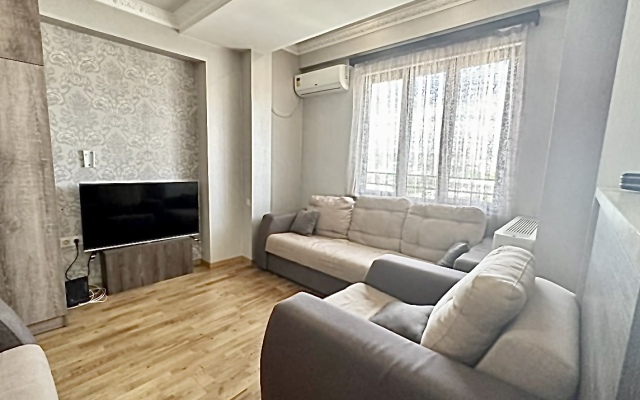 Cozy Apartment in Glinka 6 Street Apartments