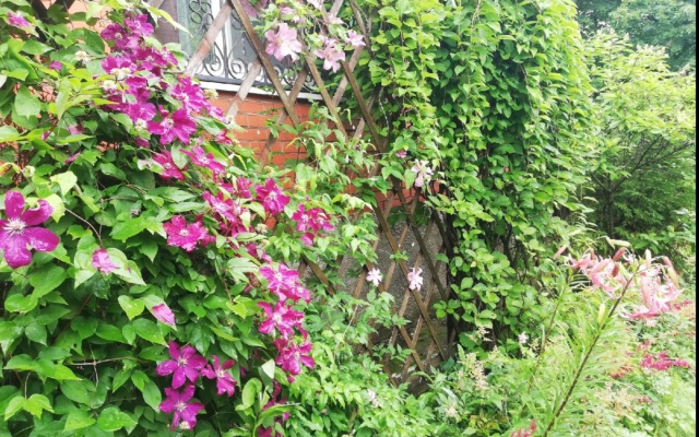 Dlya Dushi I Serdtsa U Mozhayskogo Morya Guest house