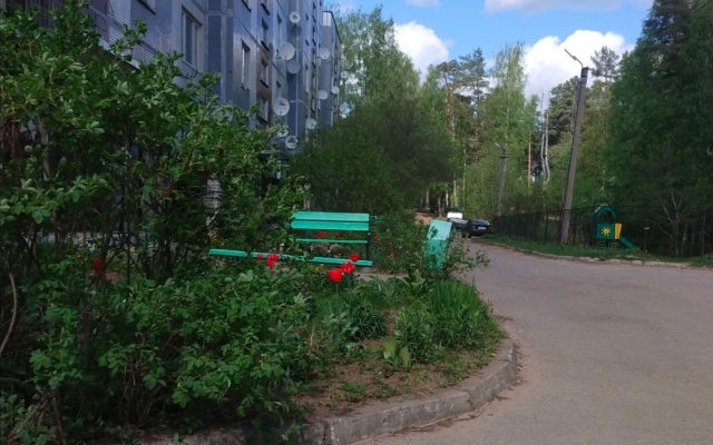 Zagorodnaya V Okruzhenii Lesa I Ozer Flat