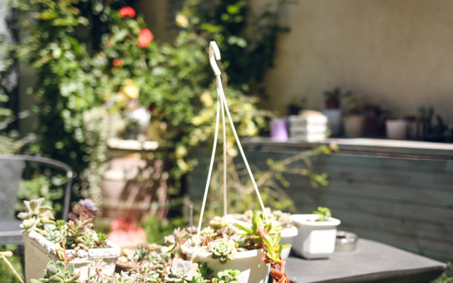 Бутик-отель Hotel Kenari