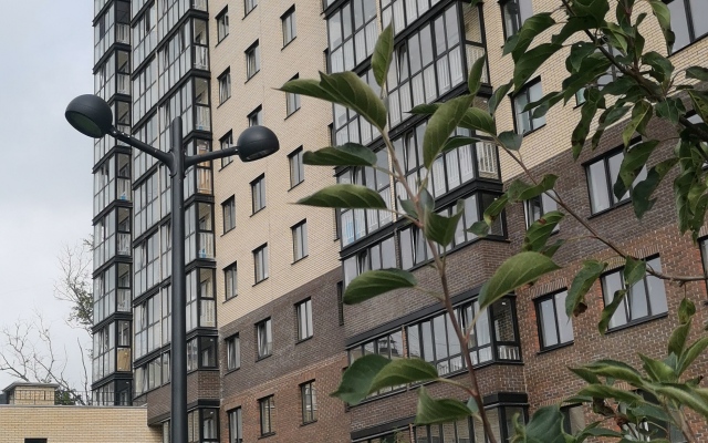 Sapfir Novogo Goroda Flat
