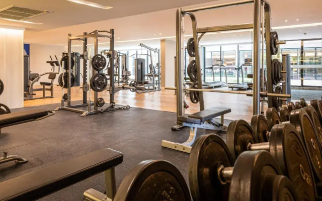 Отель Blue Hippo Hotel