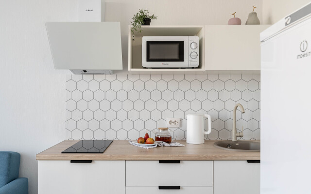 Апартаменты RoomyRoom у метро Ломоносовская