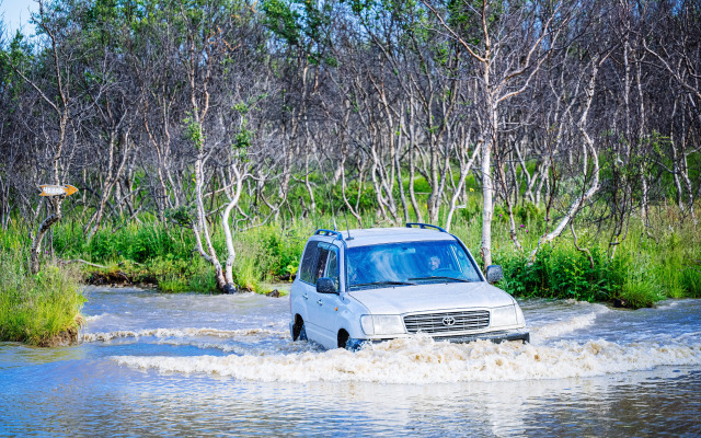 Глэмпинг Китовый Берег