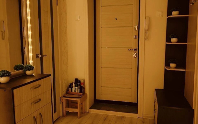 Квартира на улице Шевченко 1к1