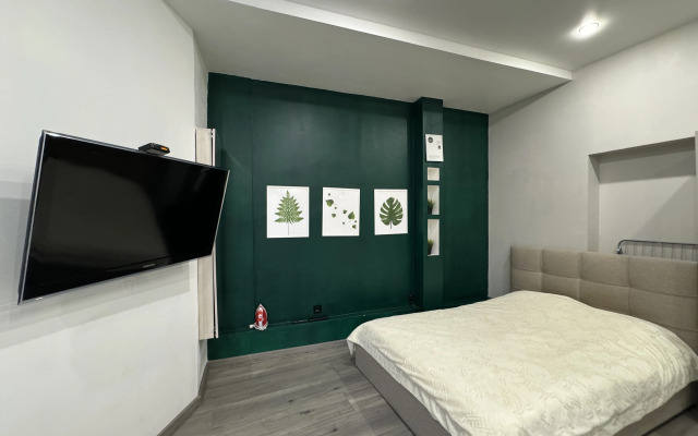 Studiya v tsentre goroda Flat