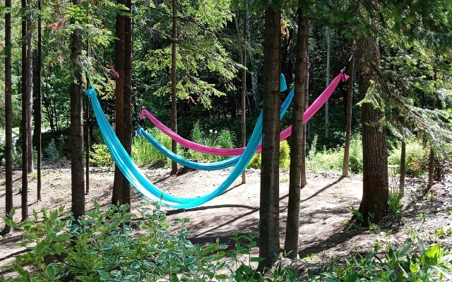 Отель Весна