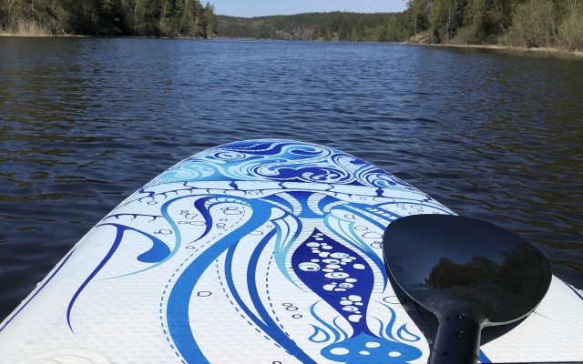 Частный дом Панорамный дом Карельский фьорд