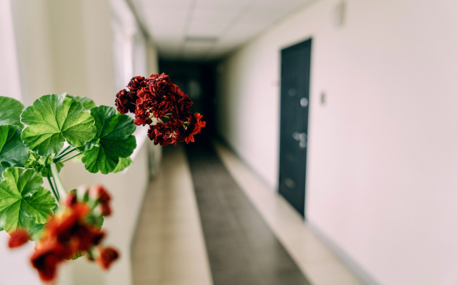 Квартира с панорамным видом