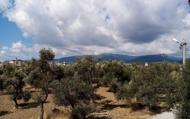 Yazduf Family Holiday Homes