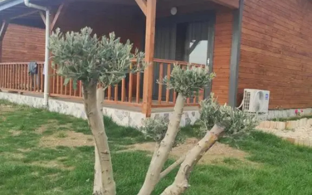 Отель Koruwoodehouse