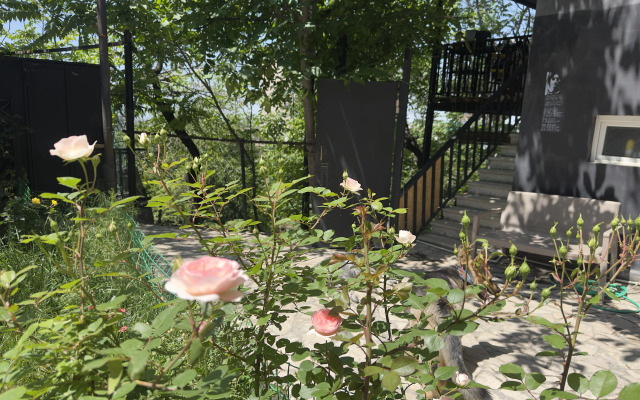 POnx Studios Apartments