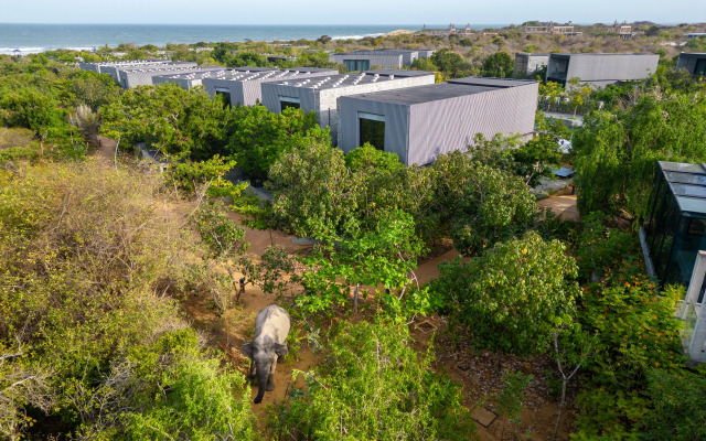 Hilton Yala Resort