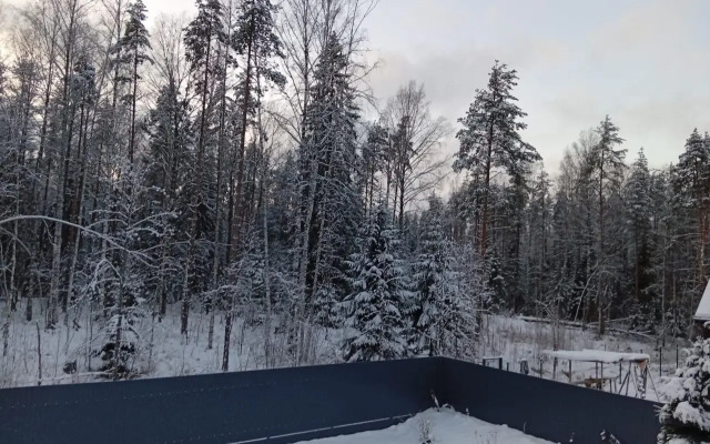 Частный дом у леса