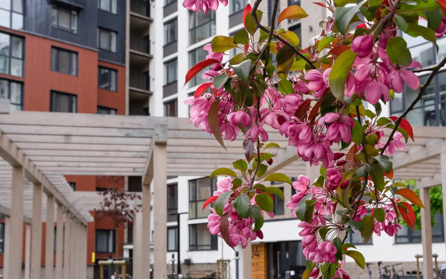 Iris by Pavlov Apartments