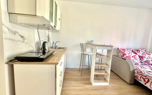 Istoman studiya Dlya Dvoikh Apartment