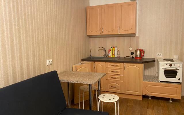 Apartamenty U Elektrosily
